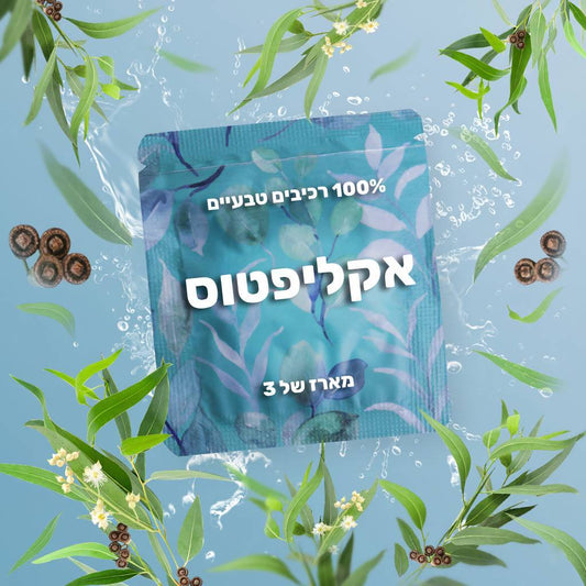 10 חבילות טעמים - אקליפטוס